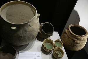 Agrandir l'image (fenêtre modale)