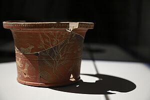 Agrandir l'image (fenêtre modale)